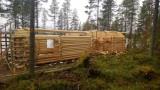 Kehikko valmistuu