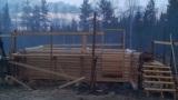 Sauna nousee