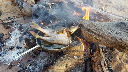 Ahventa pannulla