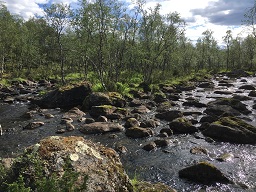Harrijoki
