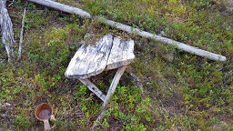 Kullankaivuu