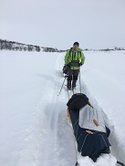 kelkkaura