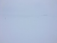 Whiteout