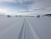 kelkkaura