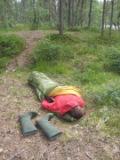 Lounaan plle