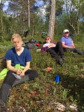 Repputauko