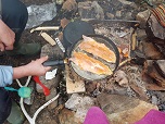 Taimenta