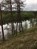 Harjumaisemaa