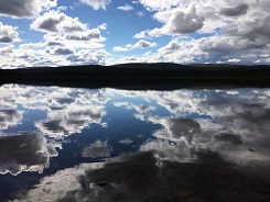 Maisemaa