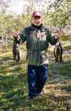 Harri harreineen