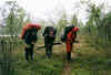 Sadetta pitmss