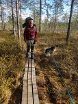 Pitkospuilla